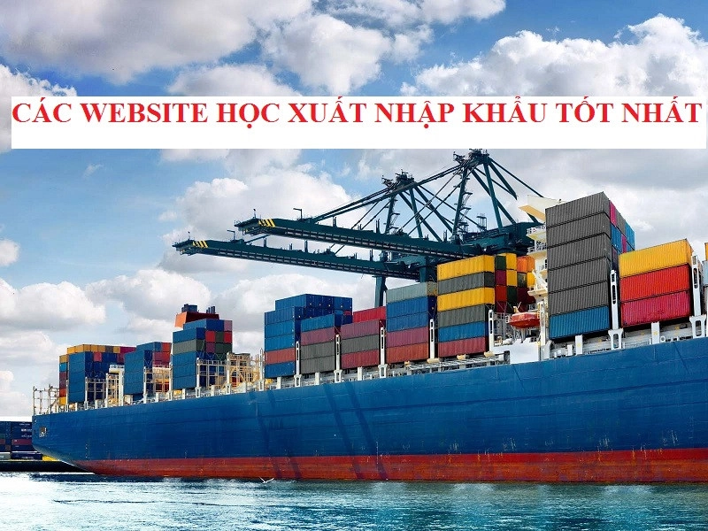 website-hoc-xuat-nhap-khau