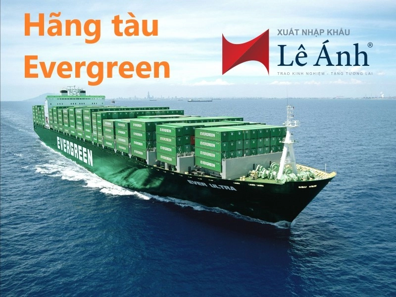 hang-tau-evergreen