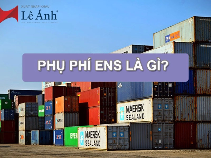 phu-phi-ens-la-gi