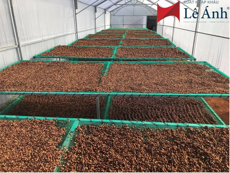 xuất khẩu cà phê