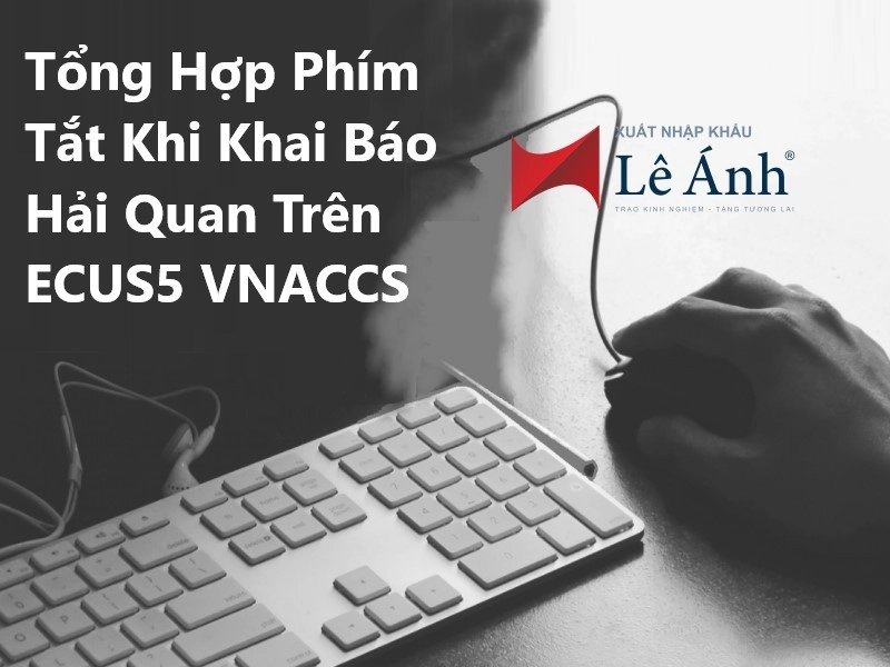 phim-tat-khai-bao-hai-quan