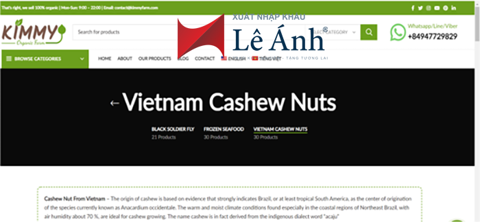 xây dựng website công ty