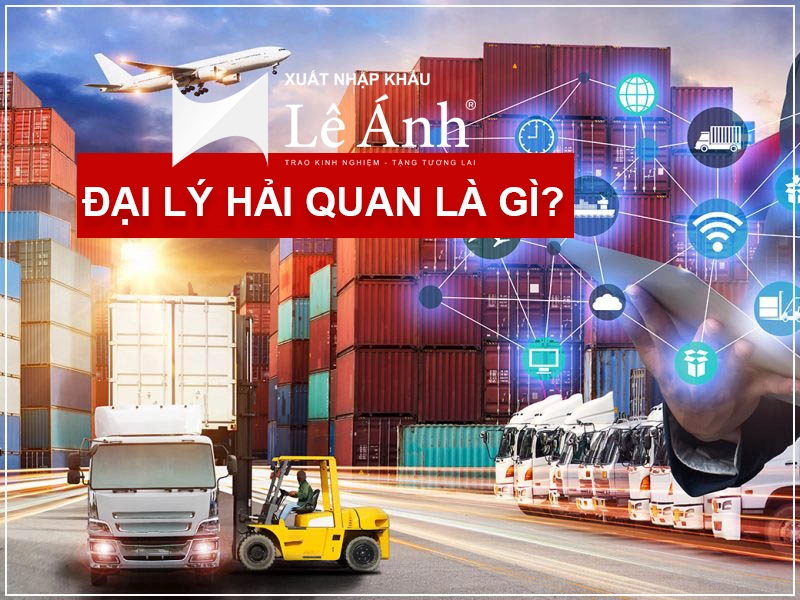 dai-ly-hai-quan-la-gi.png