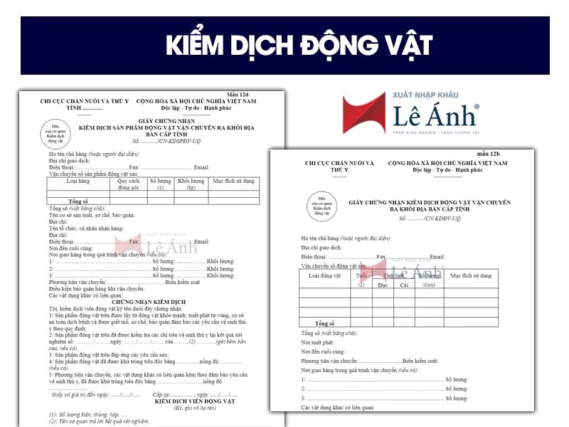 kiem-dich-dong-vat-la-gi