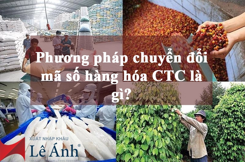 phuong-phap-chuyen-doi-ma-so-hang-hoa-ctc-la-gi.png