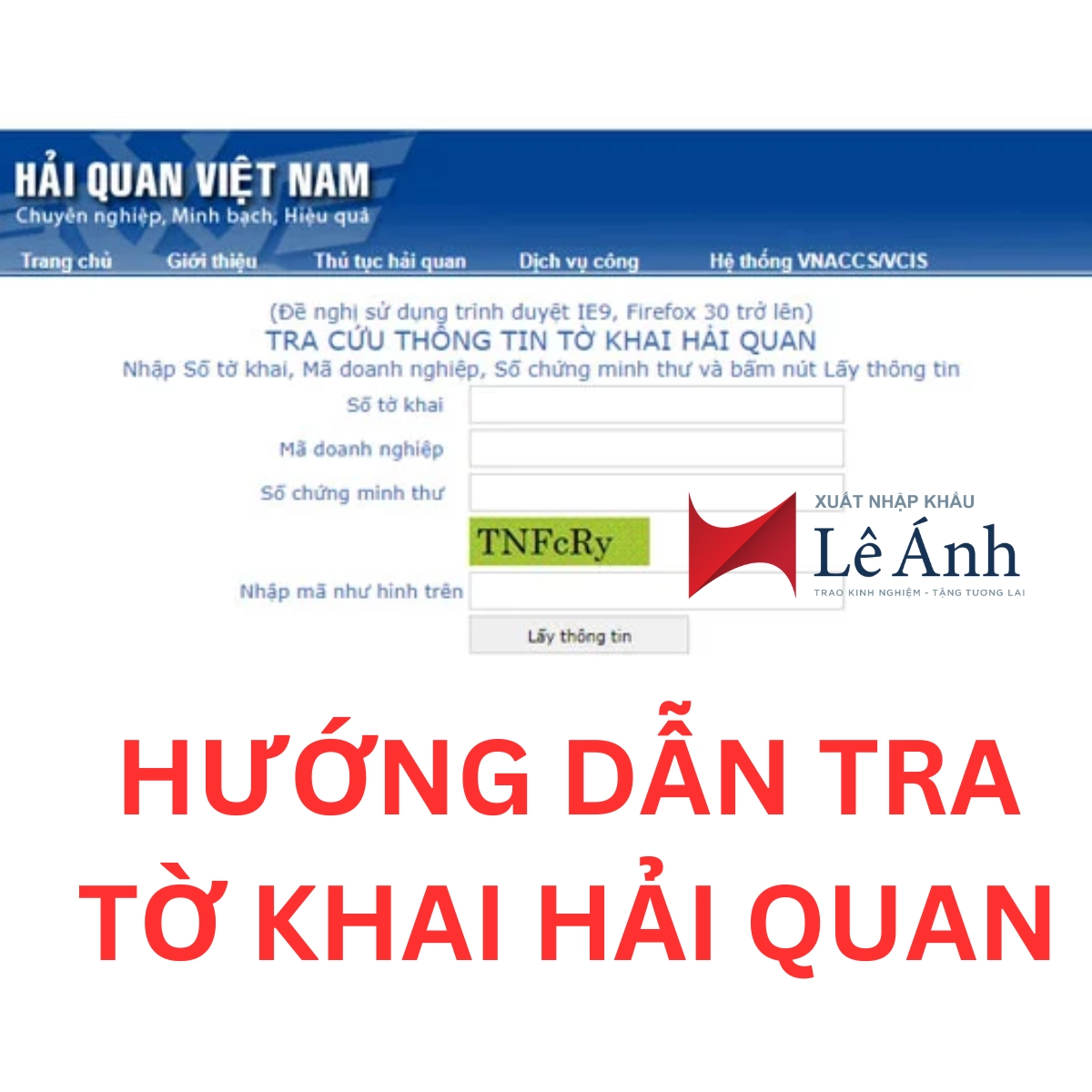 huong-dan-tra-to-khai-hai-quan-anh-1.png