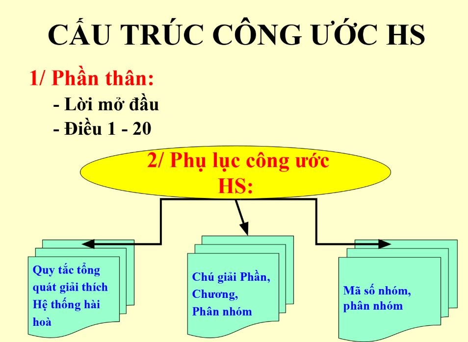 cấu trúc công ước HS