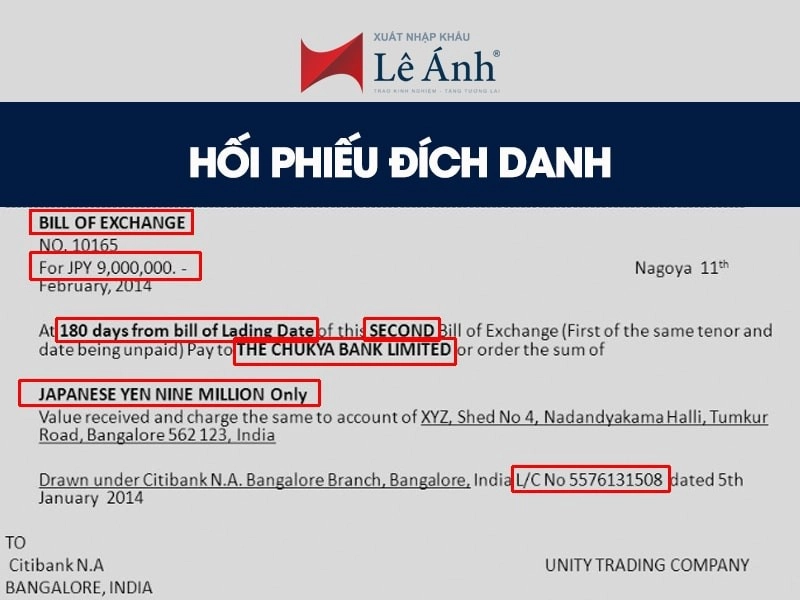hoi-phieu-dich-danh