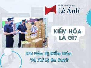Kiểm Hóa Là Gì? Khi Nào Bị Kiểm Hóa Và Xử Lý Ra Sao?