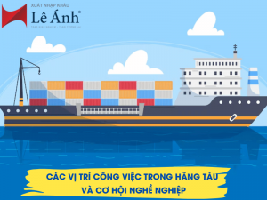 Các Vị Trí Công Việc Trong Hãng Tàu