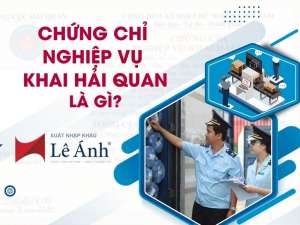 Chứng Chỉ Nghiệp Vụ Khai Hải Quan Là Gì?