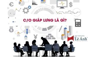 C/O Giáp Lưng Là Gì?