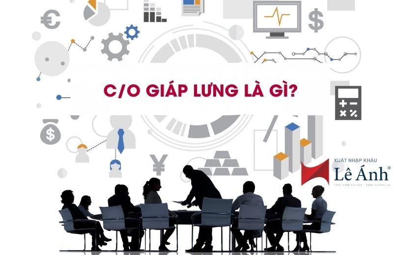 Hình ảnh đại điện