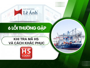 6 Lỗi Thường Gặp Khi Tra Mã HS