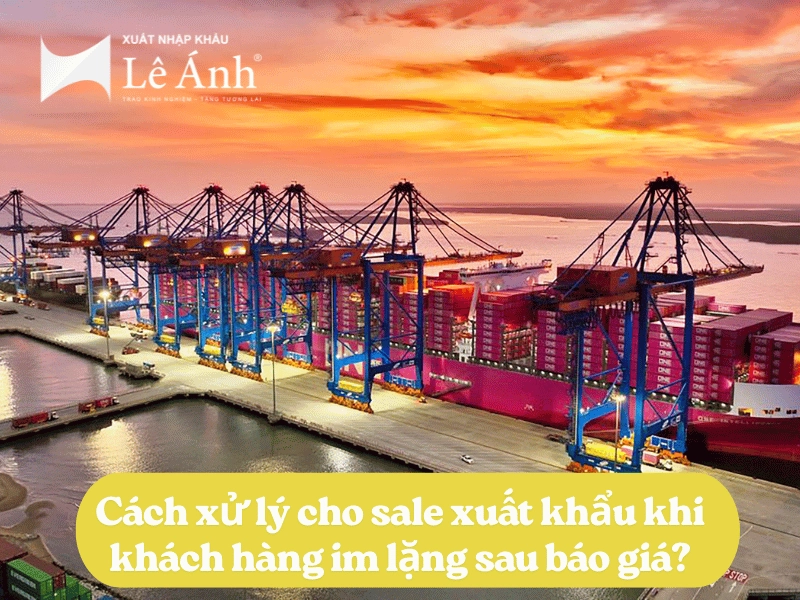 cach-xu-ly-cho-sale-xuat-khau-khi-khach-hang-im-lang-sau-bao-gia.png