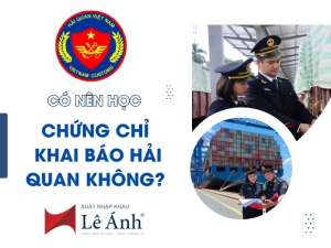Có Nên Học Chứng Chỉ Khai Báo Hải Quan Không?