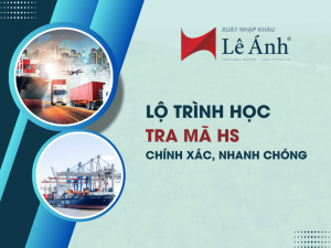 Lộ Trình Học Tra Mã HS Chính Xác