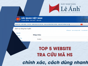 Top 5 Website Tra Cứu Mã HS Chính Xác, Cách Dùng Nhanh