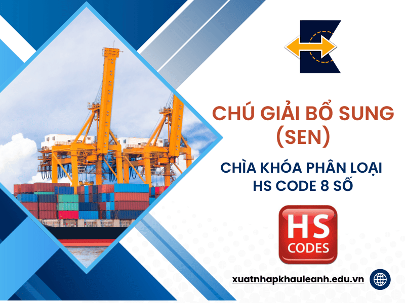 Hình ảnh đại điện